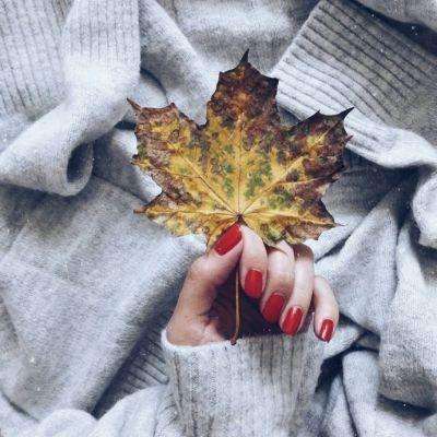 beat365体育ios版下载