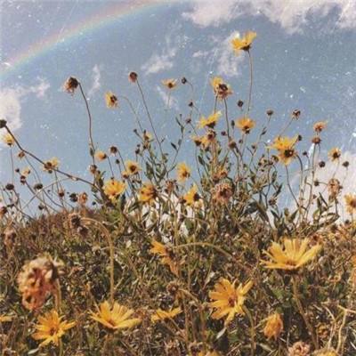 beat365体育ios版下载截图