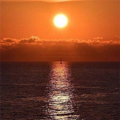 6686体育官网下载